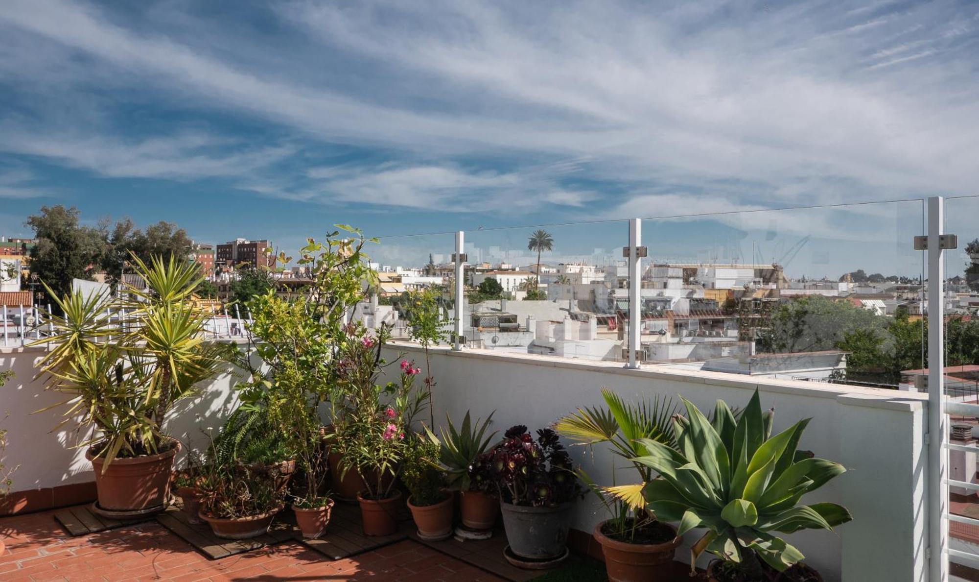 Colectia Santa Lucia 3* Seville